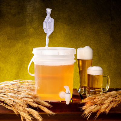 환경 친화적 인 20L 식품 등급 발효제 맥주 버럴