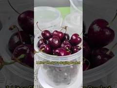 밀폐 된 우유 꿀 아이스크림 식품 등급 맑은 저장 용기 1L 플라스틱 버킷